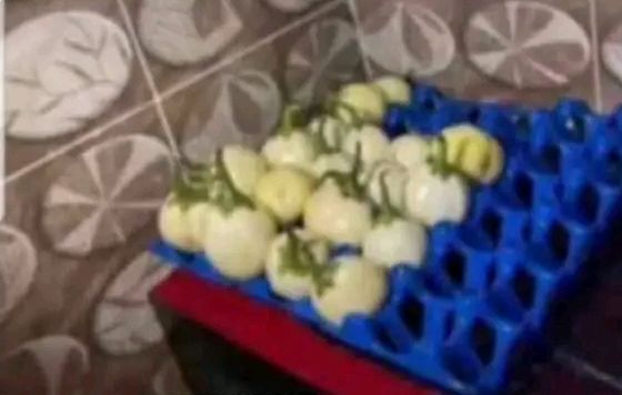 If e reach your turn put the one wey fowl lay... Egg na egg for here | MirrorLog