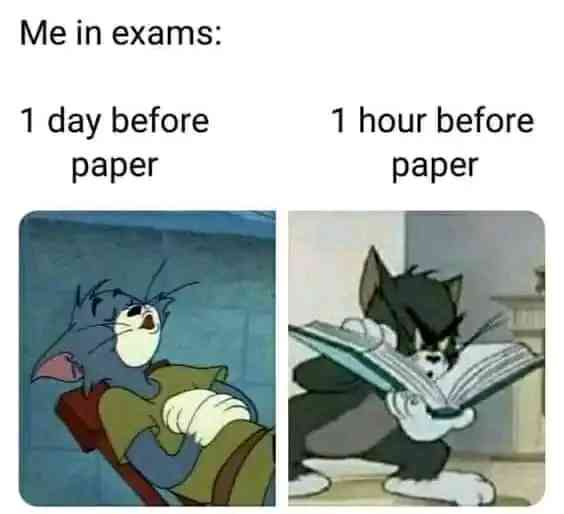 🤣🤣🤣🤣🤣🤣 | MirrorLog