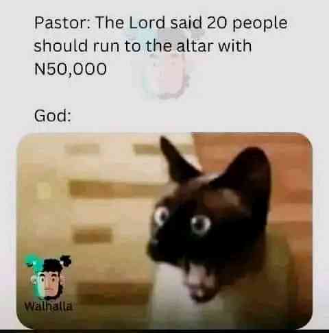 Comedy house | MirrorLog