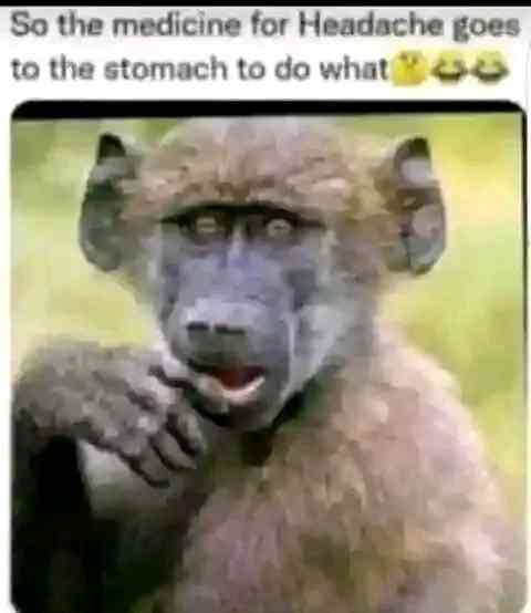 😂😂😂 | MirrorLog