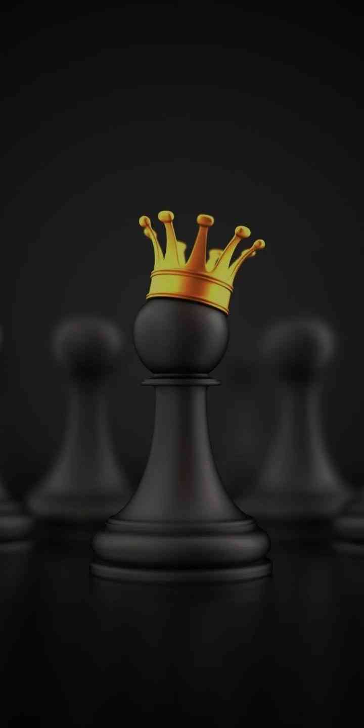 Chess king 👑 ♟️ | MirrorLog