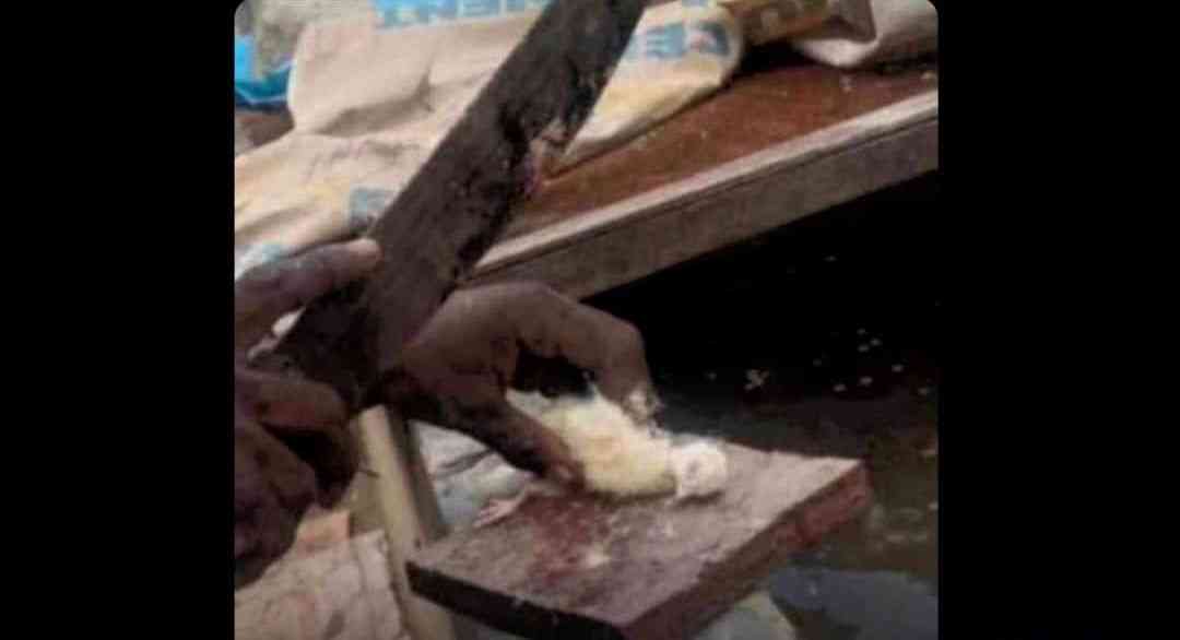 Age is just a number 😂💔 | MirrorLog