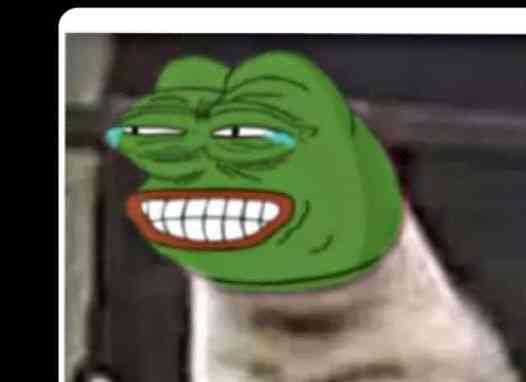 Baddie but you dey wear adieu papa polo go out | MirrorLog