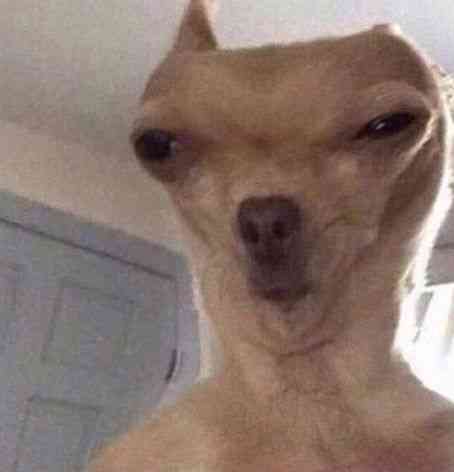 After stealing the meat from the pot in the middle of the night then you hit your toe on the door but you cannot scream... . | MirrorLog