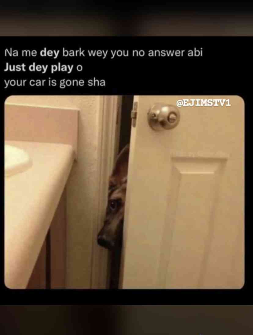 Just Dey play😂 | MirrorLog