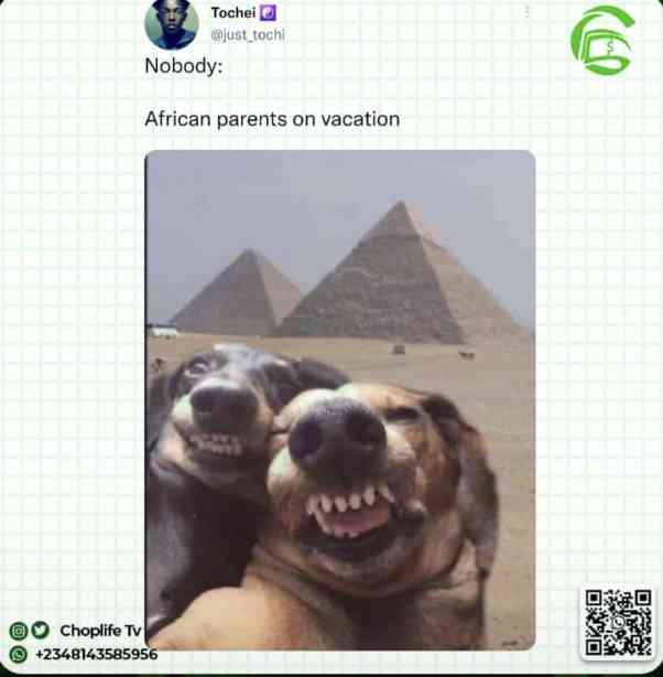 No respect for elders again😂😂 | MirrorLog