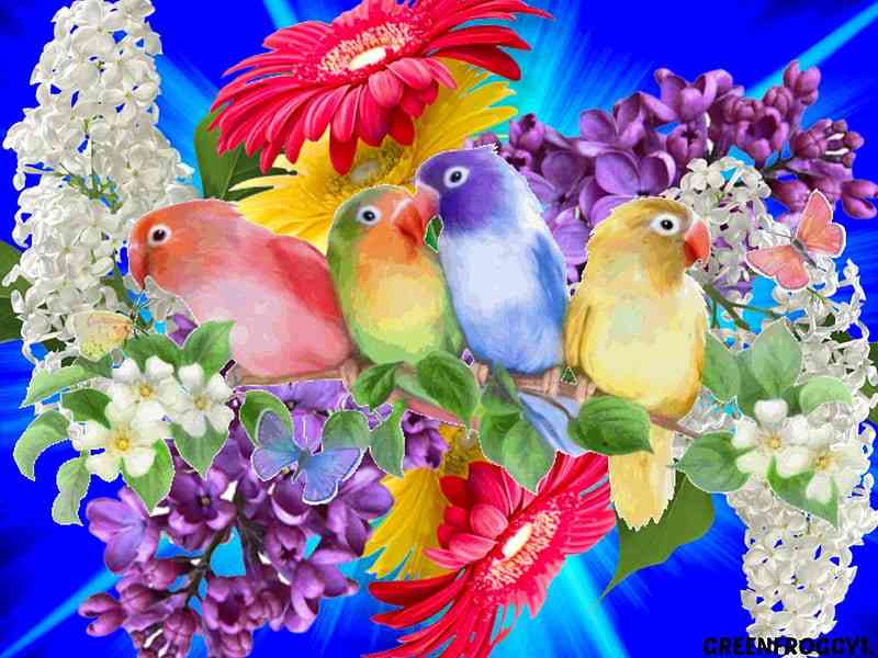 Can I at least get a like from you please 😭❤️🥰❣️ | MirrorLog