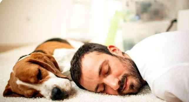 Afternoon naps can help rest our brains and clear out our jumble of daily thoughts. The best nap is 10 to 30 minutes taken between 1 and 3 p.m  ??? | MirrorLog