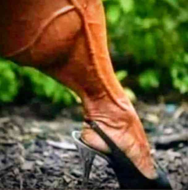 Best in moving from one relationship to another ?? | MirrorLog