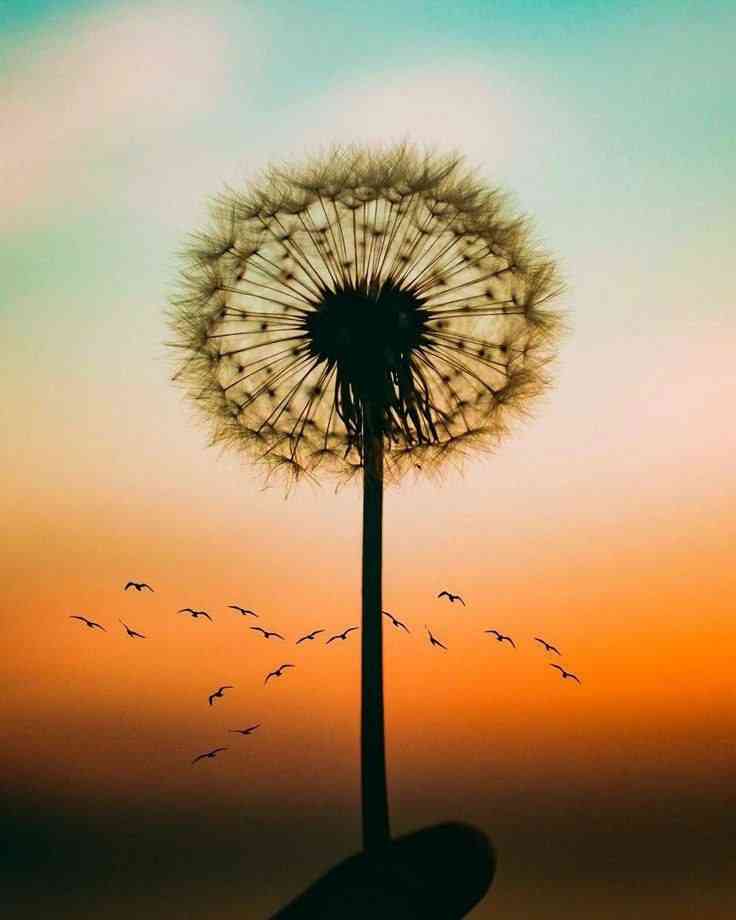 As a young person, no matter what, remember that you are still young and can change your career the day you want to. | MirrorLog