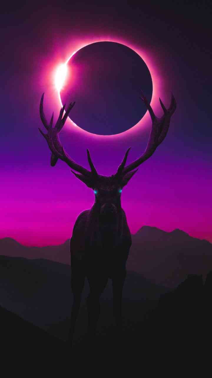 Deer 🦌