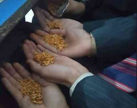 POV: Backbenchers when the teacher says "No eating in my class" | MirrorLog