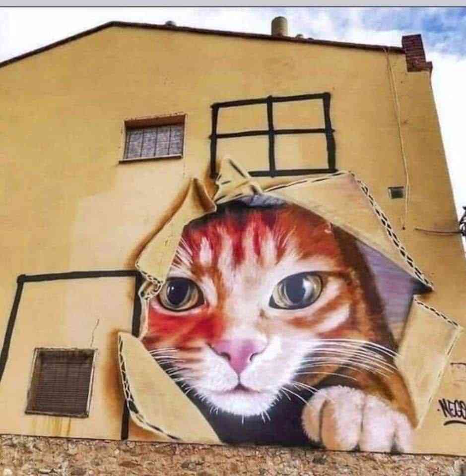 Cat Art #d.p | MirrorLog