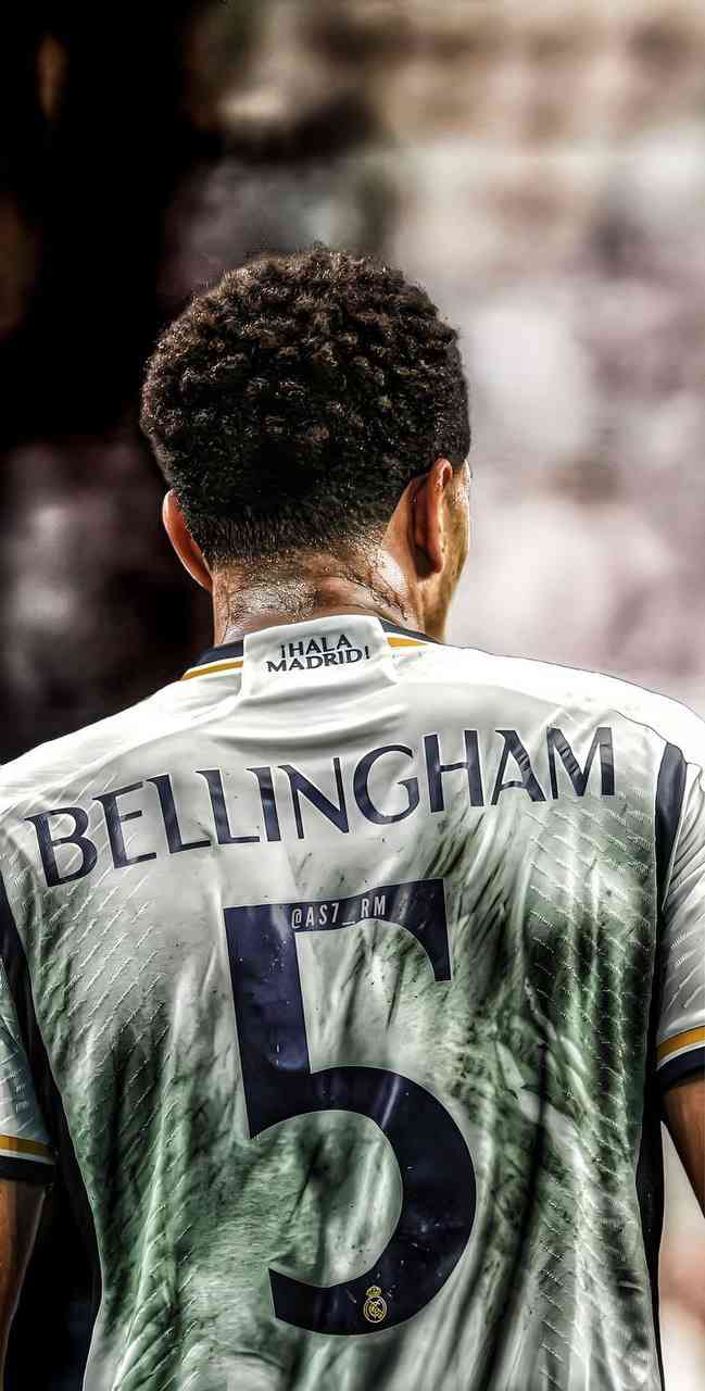 Bellingham | MirrorLog