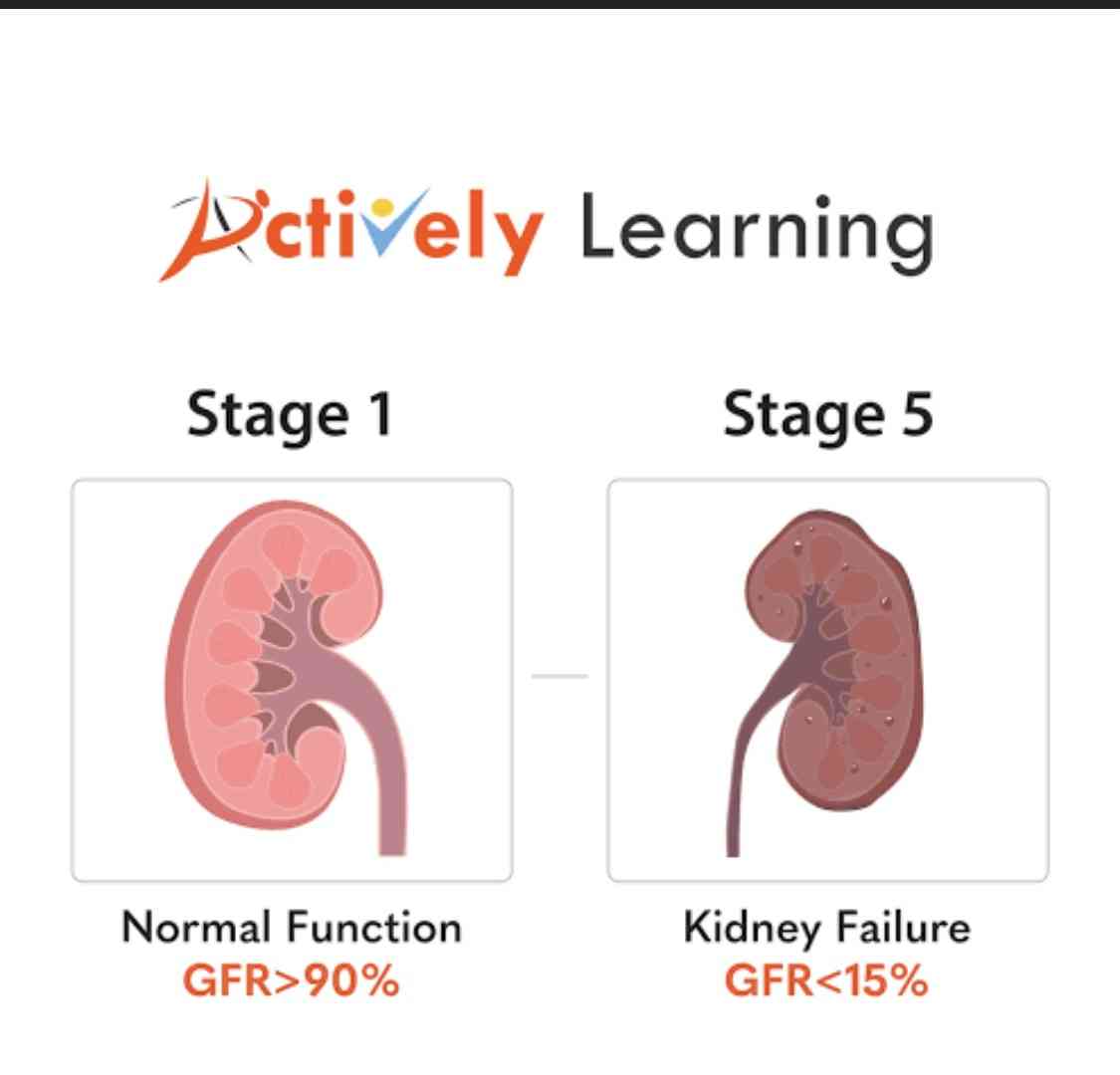What Are The Early Stages Of Kidney Disease