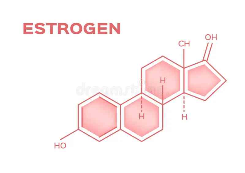 Estrogen one of the type of female hormones | MirrorLog