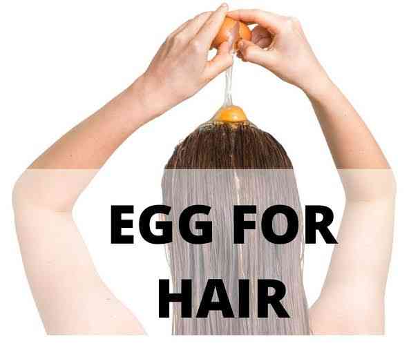 Egg protein and hair.