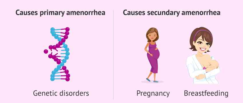 Causes of Amenorrhea | MirrorLog