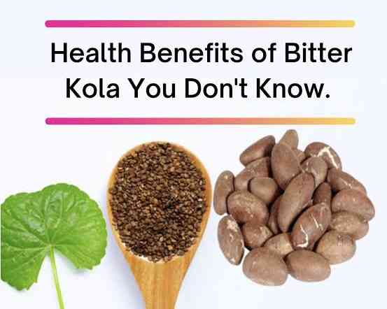 Health benefits of bitter kola | MirrorLog