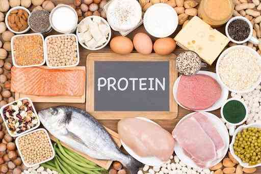 Protein | MirrorLog