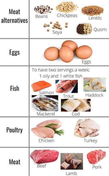 Tips for getting enough protein | MirrorLog