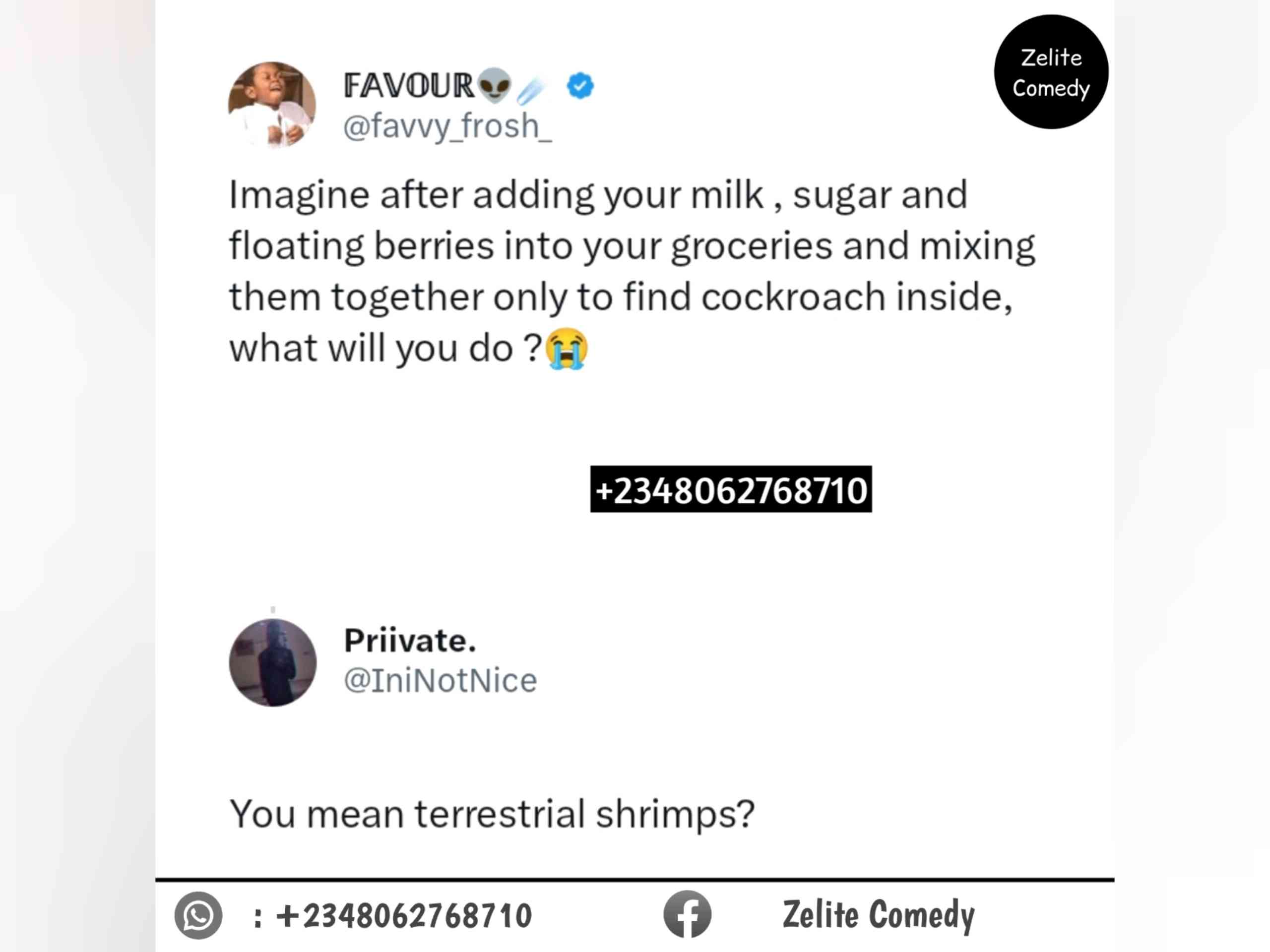 Cockroach don turn terrestrial Shrimps 😂😂 | MirrorLog