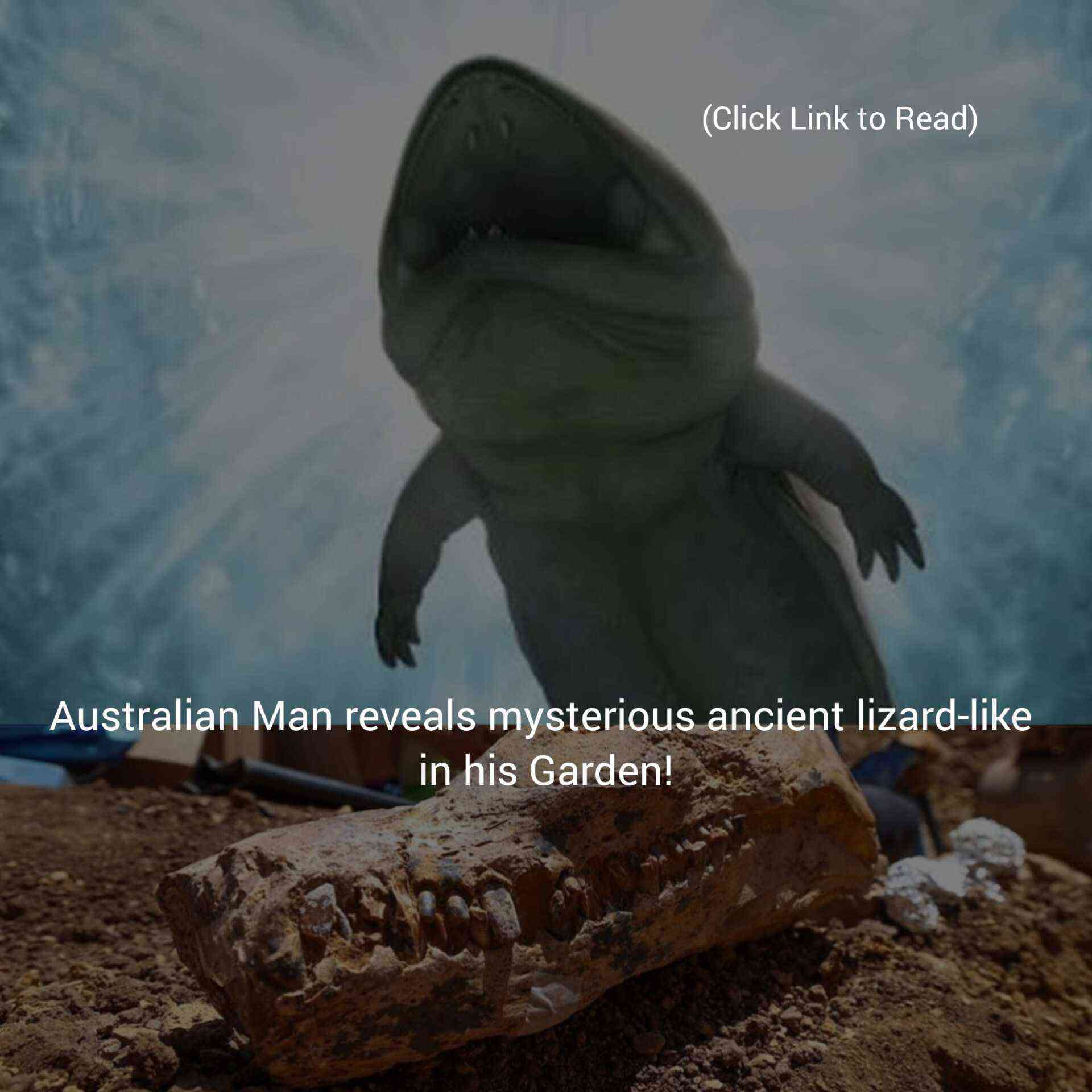 Australian Man reveals mysterious ancient lizard-like in his Garden! - MirrorLog