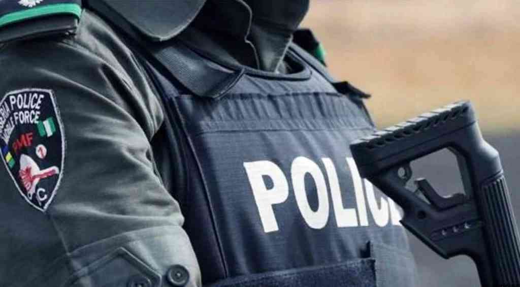 Police nab housemaid son for killing boss in Ondo - MirrorLog