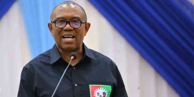 Association With Atiku And Kwankwaso Will Destroy You – Ohanaeze To Peter Obi | MirrorLog