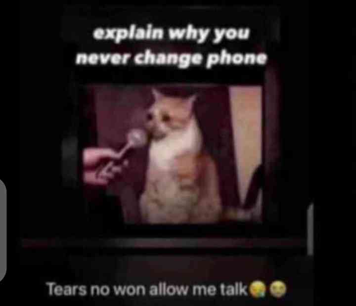 Meme | MirrorLog