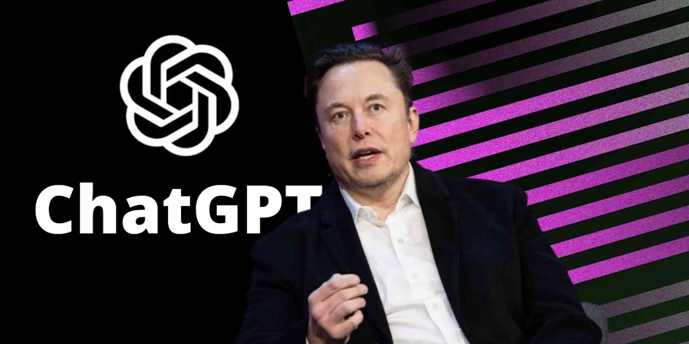 Elon musk and several others signs an open letter to pause the training of AI. | MirrorLog