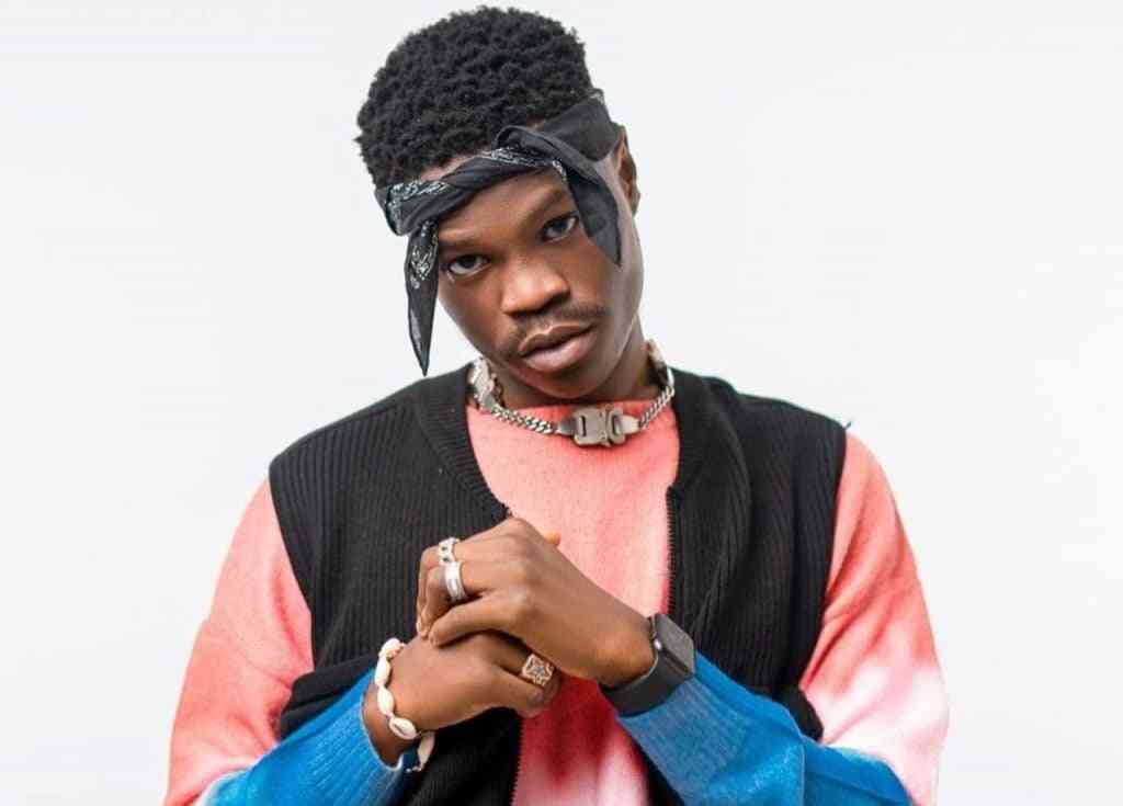 Afrobeat fed Burna Boy for years – Bad Boy Timz | MirrorLog