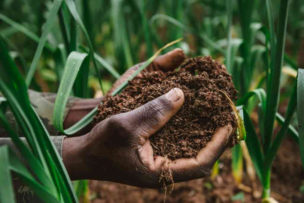 Professor Gabriel Akinboye called on the Nigerian government  to develop a national soil information system | MirrorLog