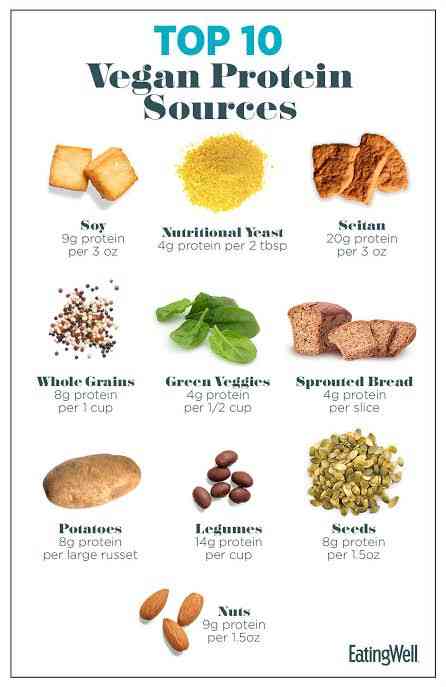 Source of protein - MirrorLog