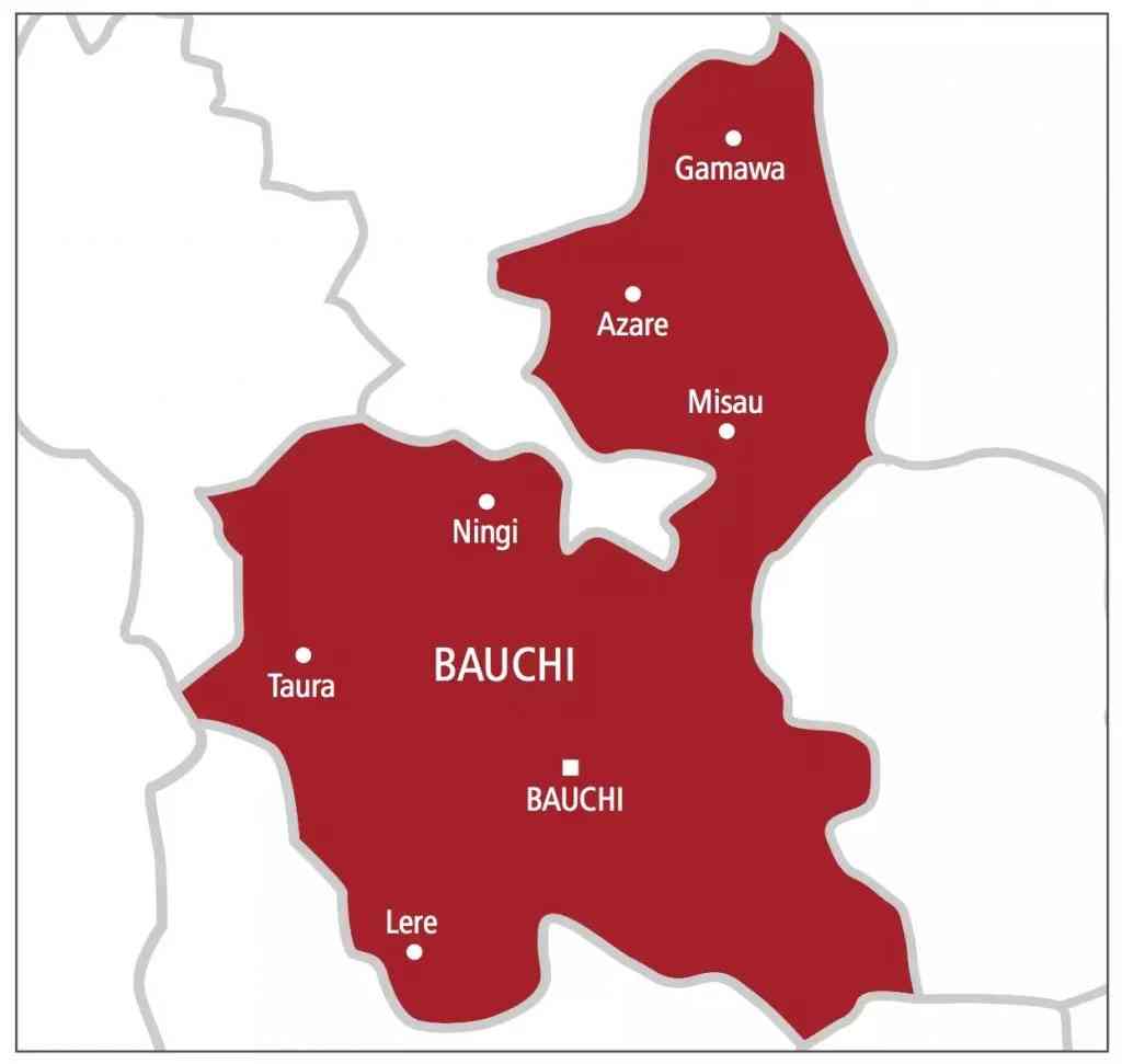 Over 500 case of SGBV recorded in Bauchi | MirrorLog
