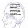 cbtbrainery | MirrorLog
